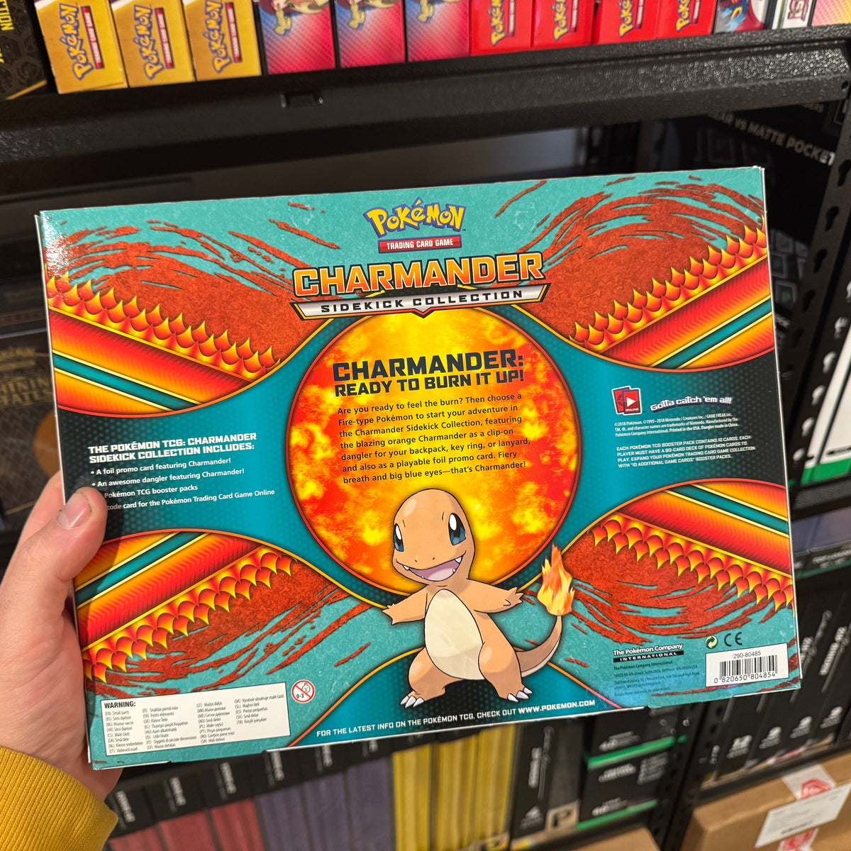 Pokemon TCG: Charmander Sidekick Collection – Click and Collectables